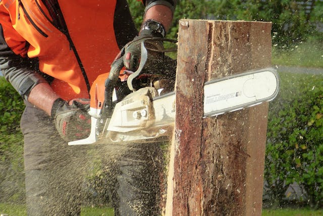 tree felling